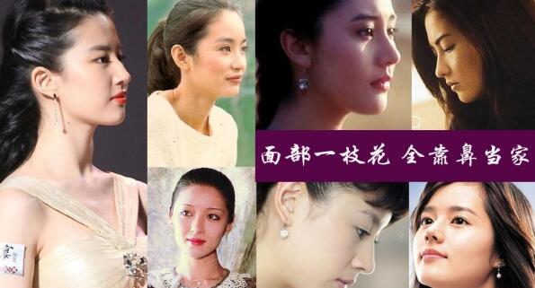 細(xì)看娛樂(lè)圈的女明星，無(wú)一不是**精致的鼻子。