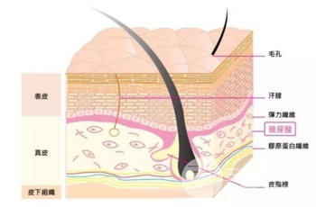 科普：玻尿酸的作用和玻尿酸多少錢一支價(jià)格介紹