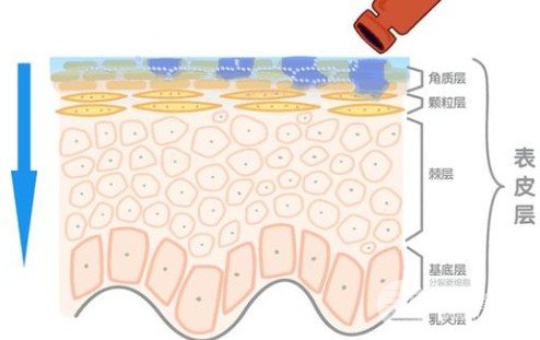 玻尿酸的功能有多少
