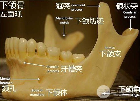 下頜角手術(shù)價格