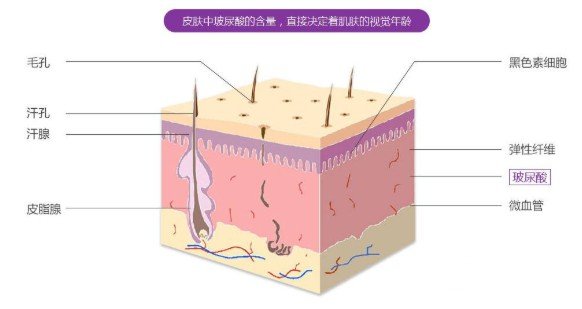玻尿酸隆鼻到底能保持多久