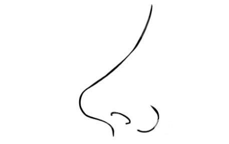 什么樣的人需要鼻整形術(shù)?