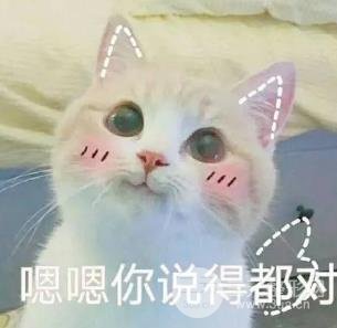 被石原里美模仿，卻從未被超越的女神，為何7年后讓人念念不忘？