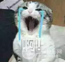 明星憑什么胖著玩玩說(shuō)瘦就瘦？靠吃減肥藥嗎？