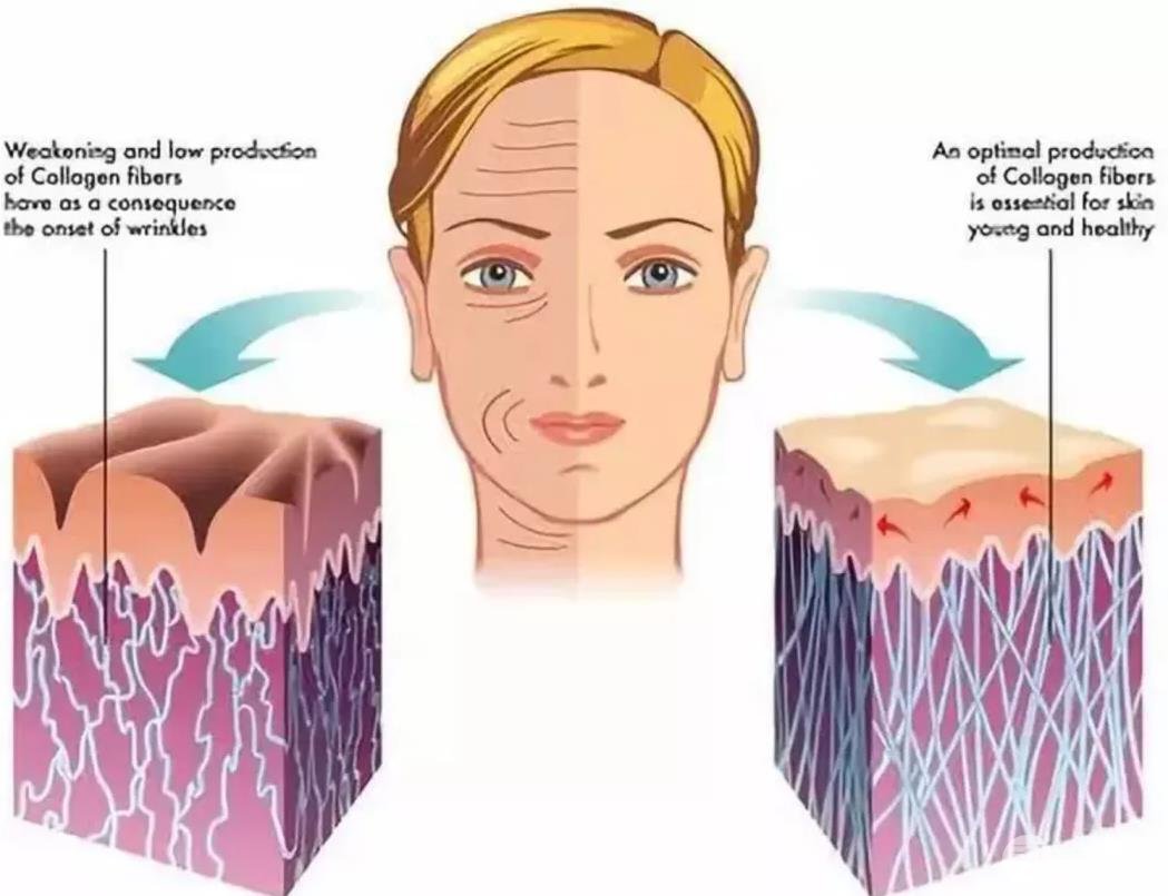 揭秘丨30+“浪姐”們同時(shí)安利的熱瑪吉真的有果嗎？