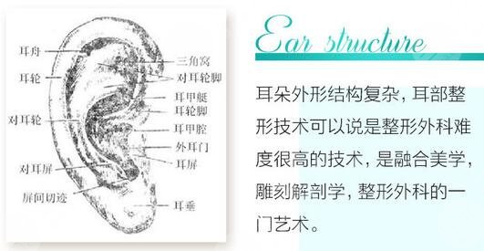 顱耳角在30°-60°之間朵怎么整形