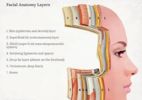 5gmax極速提拉技術優(yōu)勢