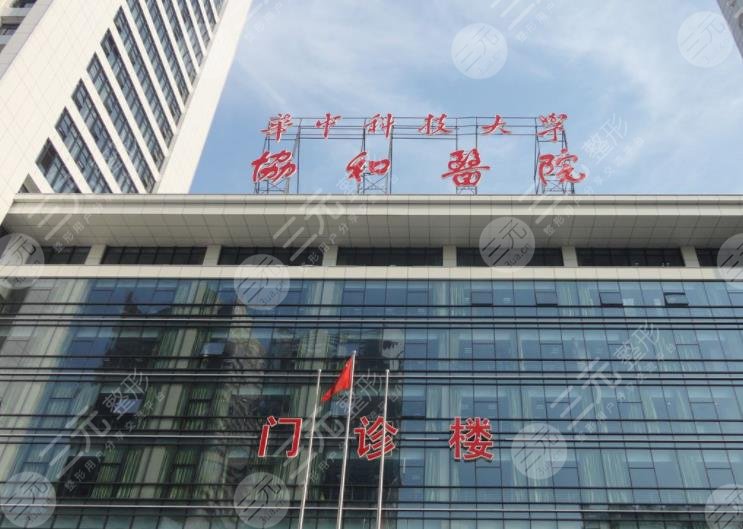 武漢三甲植發(fā)醫(yī)院排名