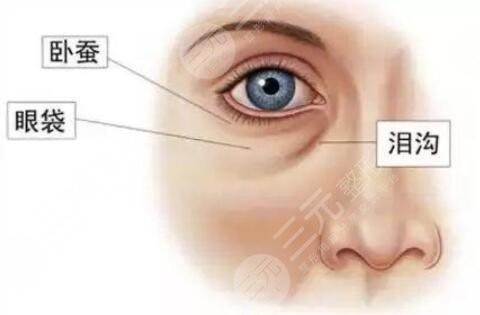 眼袋生長的原因有哪些