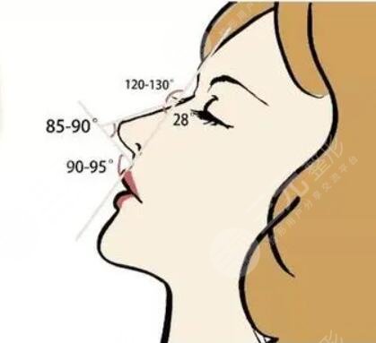 廈門華美謝常禮隆鼻案例