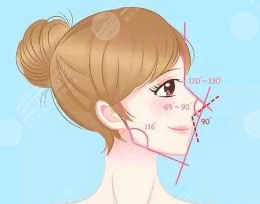 上海九院整形外科地址