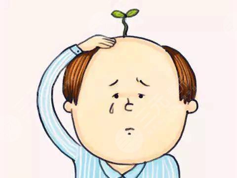 溫州大麥微針植發(fā)醫(yī)院脫發(fā)種植經歷分享