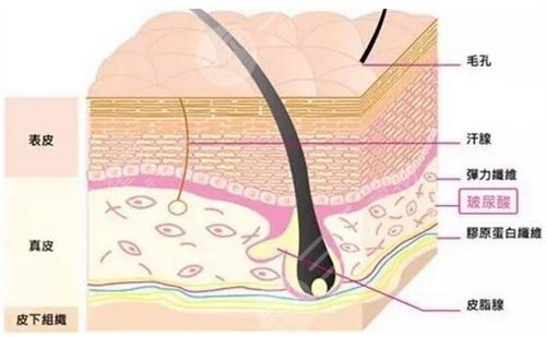 重慶當(dāng)代整形醫(yī)院面部年輕化案例