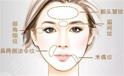 歐洲之星4d和火鳳凰