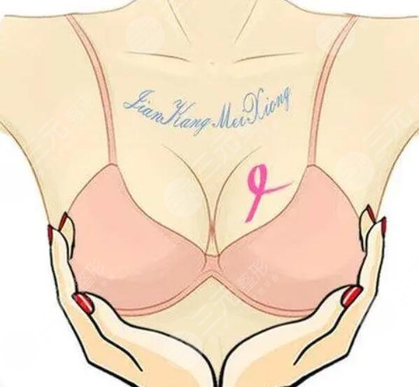 法國ES假體簡介