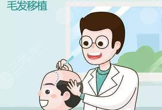 植發(fā)3000個(gè)毛囊價(jià)格