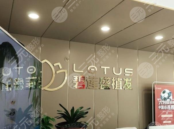 沈陽碧蓮盛植發(fā)價格多少錢