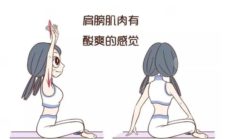什么樣的背才是女人的美背?