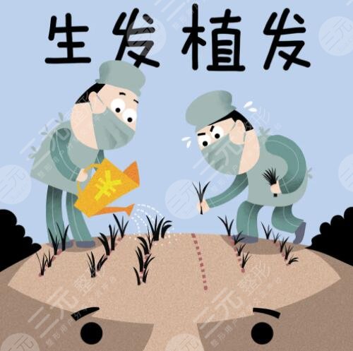 植發(fā)手術(shù)10元20元區(qū)別大嗎？區(qū)別主要在哪里？質(zhì)量？服務(wù)？毛囊數(shù)？