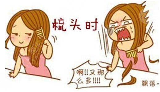 生姜緩解脫發(fā)的注意事項