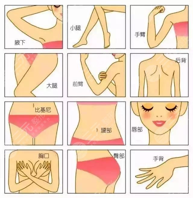 冰點(diǎn)脫毛和激光脫毛的區(qū)別