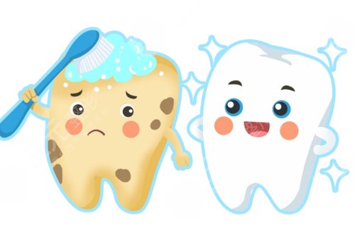 種植牙齒的壽命多少年？