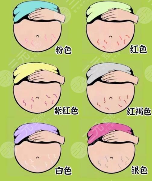 橄欖油使用寶典