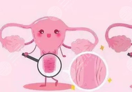 女性私處修復(fù)手術(shù)大概多少錢？