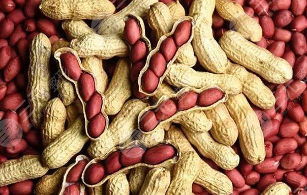 花生