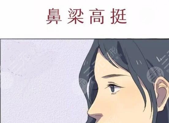 墊鼻梁需要多少錢?