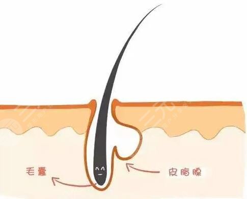 適當(dāng)運(yùn)動(dòng)