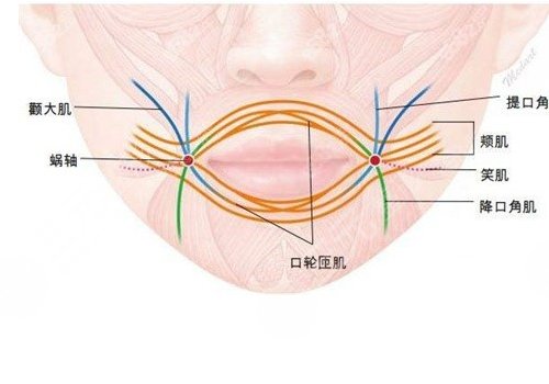 縮短人中的手術(shù)危險(xiǎn)嗎？