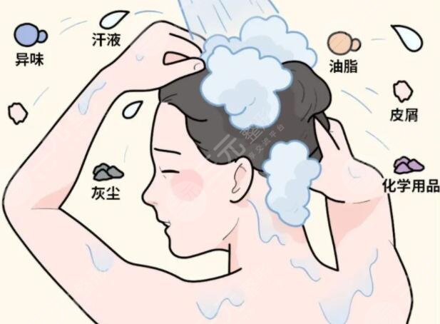 多久洗一次頭健康？科學(xué)洗頭間隔時間一般是2-3天左右