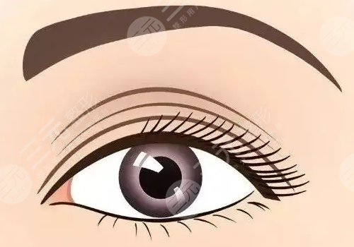 楊麗美顏?zhàn)鲂迯?fù)怎么樣?