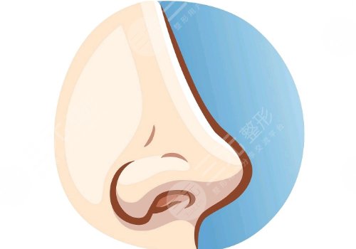 俞積貴做鼻子怎么樣