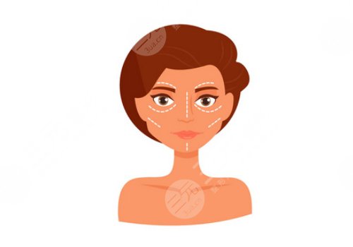 內(nèi)輪廓是指哪里部位？