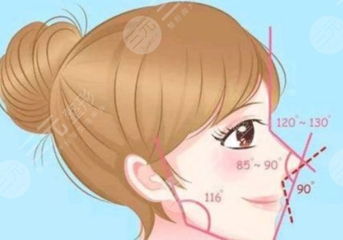 葉麗萍做鼻子怎么樣