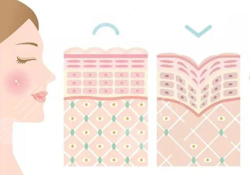 雙美膠原蛋白有幾種型號？