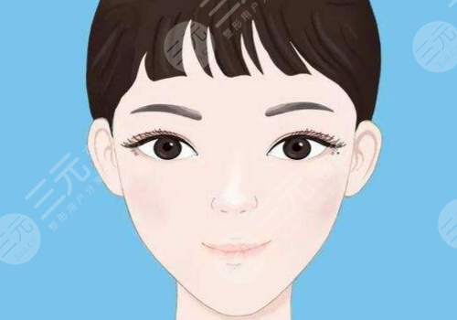 輪廓針一般打幾針