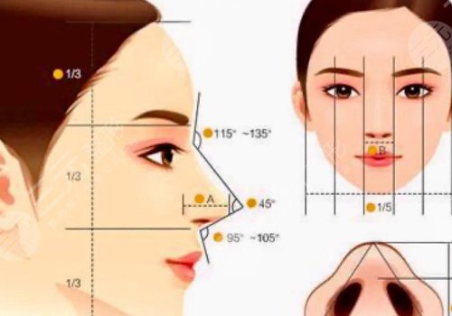 外輪廓固定內(nèi)輪廓填充的區(qū)別