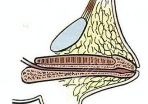 玻尿酸男性增大注射要多少錢？