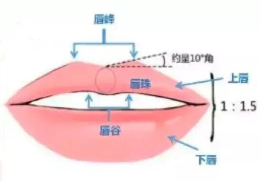唇部受到傷之后可以整形嗎？整形手術(shù)科普+收費價格參考！