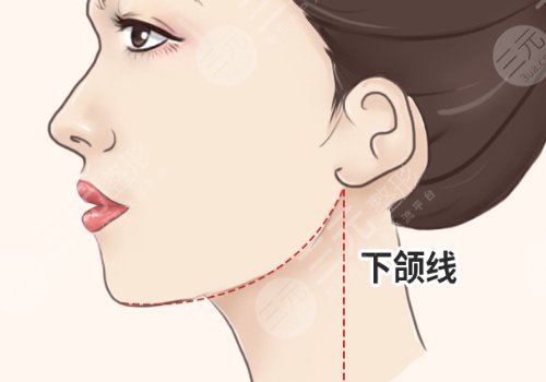 什么叫外輪廓線？臉部輪廓冷知識分享！