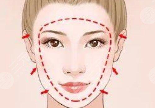 外輪廓包括哪些部位？