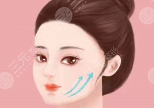 外輪廓包括哪些部位？