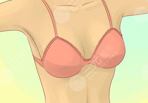 哪種胸型更好看？