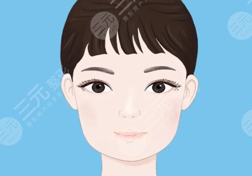 臉部輪廓固定能維持多久？