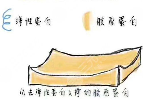 雙美膠原蛋白的作用與功效有哪些？