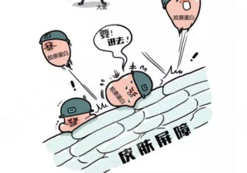 雙美膠原蛋白的作用與功效有哪些？