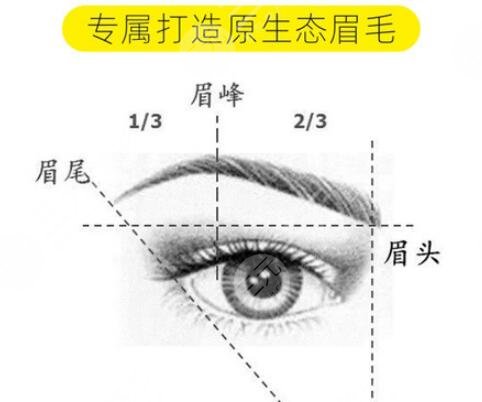 植眉毛一般價格要多少錢？植發(fā)費(fèi)用大全2023更新！